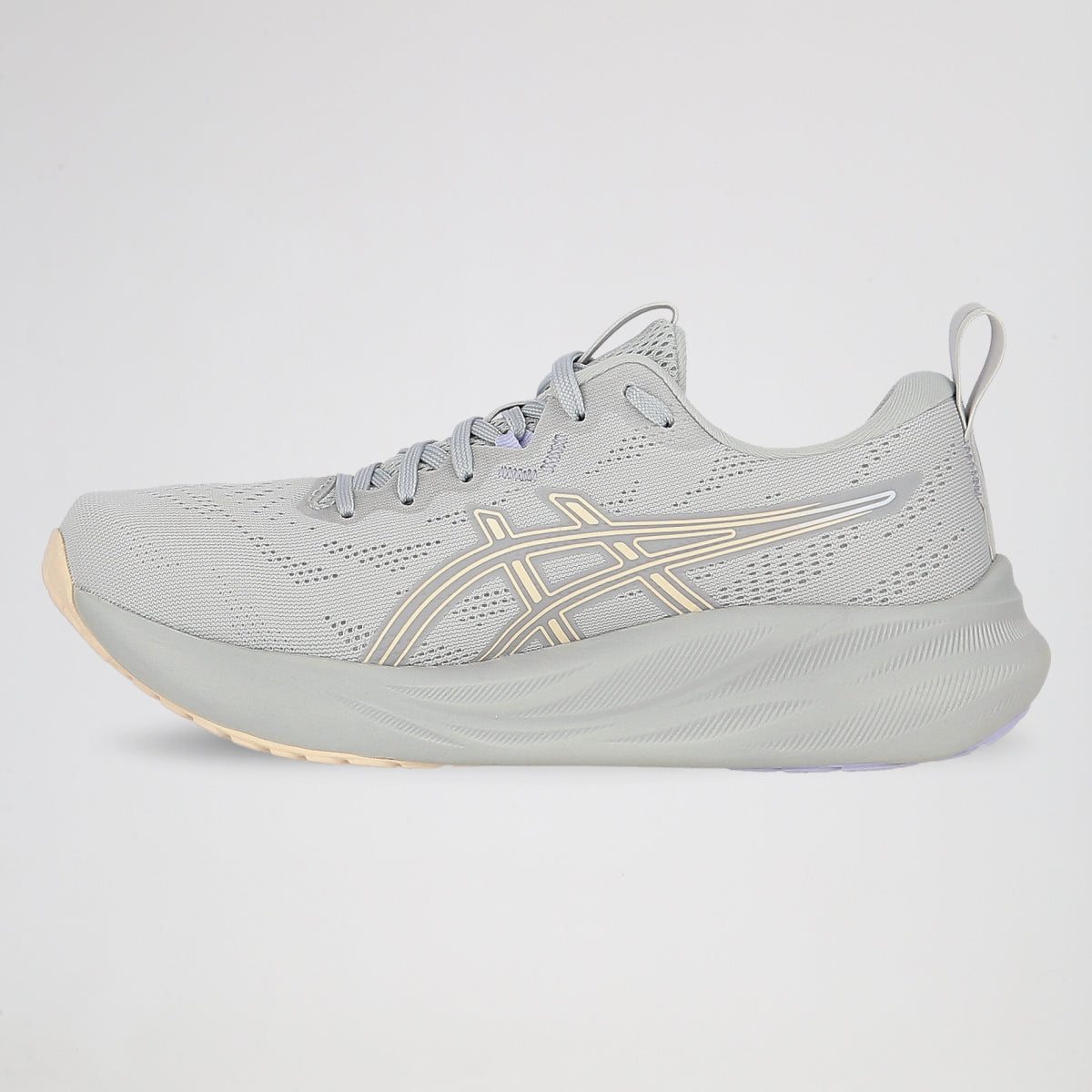 Zapatillas Running Asics Gel-Pulse 16 Mujer