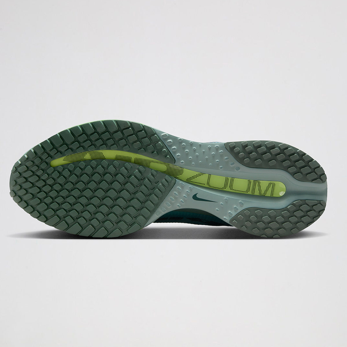 Zapatillas Nike Pegasus Premium Hombre