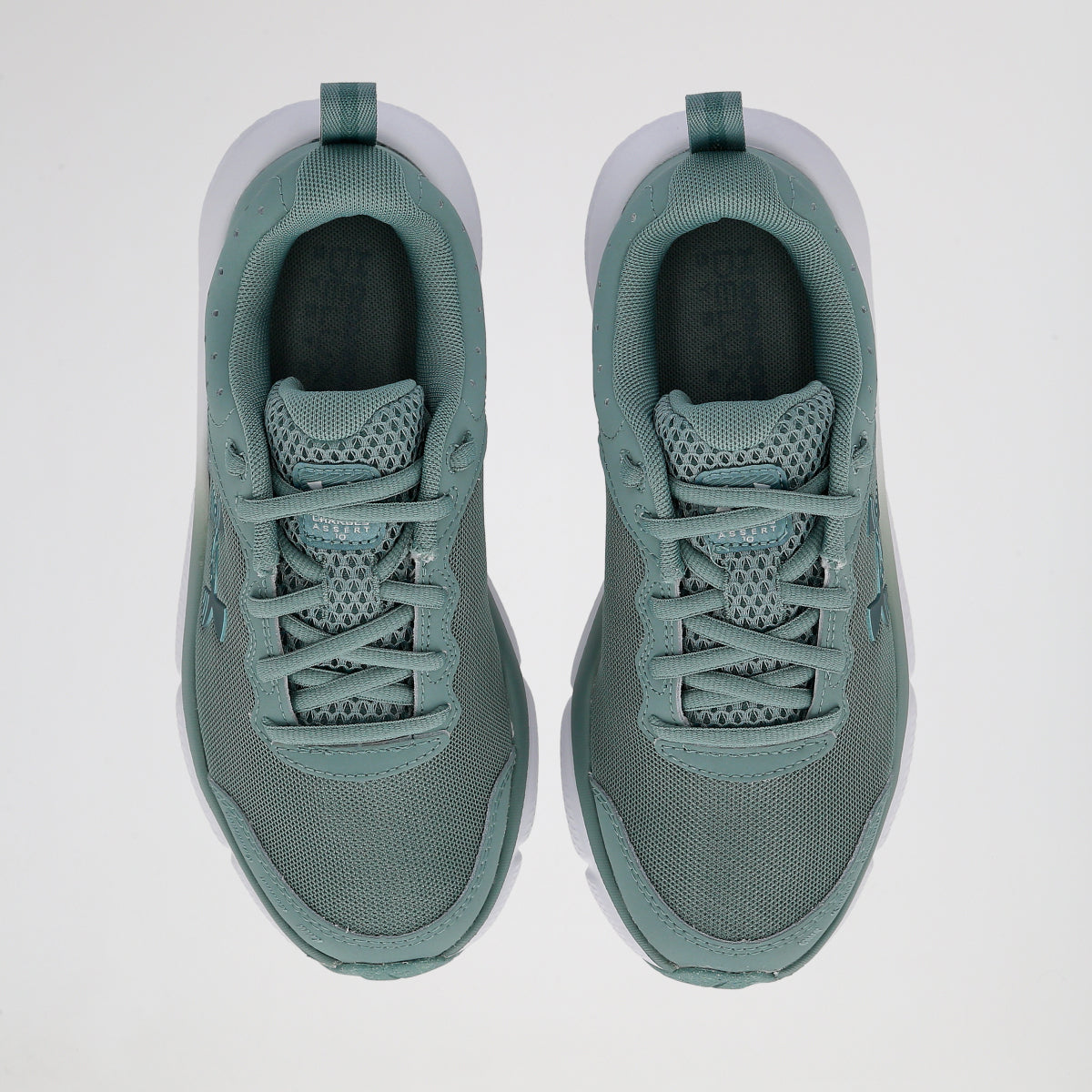 Zapatillas Running Under Armour Charged Assert 10 Mujer
