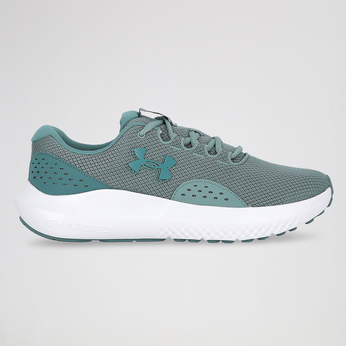 Zapatillas Running Under Armour Charged Surge 4 Hombre